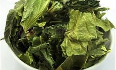 3 bài thuốc từ lá dâu tốt cho người bệnh tiểu đường