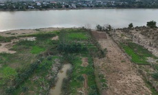 Xác xơ những khu vườn trồng đặc sản 'tiến vua' ở Huế sau lũ