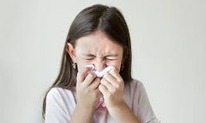 Ai nên tiêm phòng cúm, ai không nên?