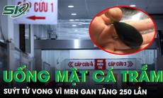 Uống mật cá trắm một phụ nữ suýt tử vong vì men gan tăng 250 lần | SKĐS