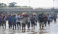 Mỹ tạm dừng toàn bộ hồ sơ xin nhập cư của công dân 19 quốc gia