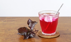 Uống nước tía tô có giảm cân, trị mụn được không?