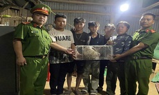 Nhiều động vật hoang dã nguy cấp được người dân tự nguyện giao nộp, thả về tự nhiên