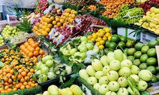 Một loại cam Việt vào mùa giá rẻ chỉ hơn chục nghìn đồng/kg, tiểu thương nhập hàng tạ mỗi ngày phục vụ khách quý