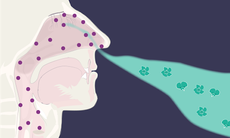 Tăng sức đề kháng để phòng bệnh tai mũi họng trong mùa đông