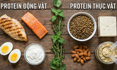Protein động vật và protein thực vật - loại nào tốt hơn?