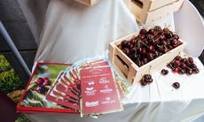 Cherry Úc khởi động mùa vụ mới với hành trình đưa Cherry tươi từ Úc đến Việt Nam chỉ trong 72 giờ