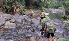Những hiểm nguy trong hành trình bảo vệ động vật hoang dã quý hiếm