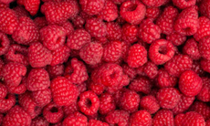 5 loại trái cây màu đỏ giúp bảo vệ tim mạch một cách tự nhiên