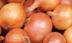 7 bài thuốc dân gian trị ho khan hiệu quả tại nhà