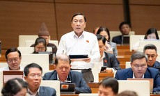 ĐBQH lo lắng trước nhiều loại tội phạm gia tăng, xuất hiện các vụ án giết người dã man gây rúng động