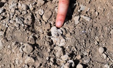 Hóa thạch bàn chân 3,4 triệu năm tuổi có thể viết lại lịch sử tiến hóa loài người