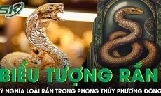 Ý nghĩa đặc biệt của biểu tượng rắn trong văn hoá phong thuỷ phương Đông