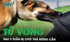 Người đàn ông tử vong vì phát bệnh dại sau 3 tuần bị chó thả rông cắn 