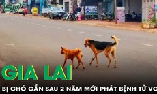 Gia Lai: hai người tử vong vì bệnh dại, một trường hợp bị chó cắn cách đây hai năm