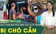 Bản Tin Y Tế 16/2: Bị chó cắn, sau 2 năm mới phát bệnh dại rồi tử vong