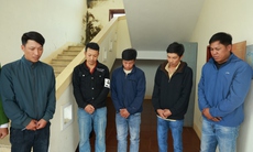 Làm rõ 6 đối tượng liên quan vụ trộm trâu lấy thịt bán dịp Tết