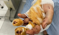 Thu giữ hơn nữa 900kg pháo dịp Tết Nguyên đán 2025