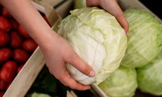 Ăn bắp cải có tác dụng gì?