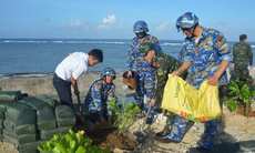 Trường Sa hưởng ứng Tết trồng cây
