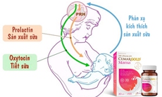 Giải pháp hỗ trợ mẹ sau sinh lợi sữa, phục hồi sức khỏe