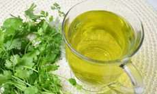 Uống nước lá rau mùi có lợi gì với sức khỏe?