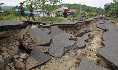 Trung bình mỗi ngày xảy ra 1 trận động đất trong tháng 1