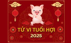 Tử vi tuổi Hợi 2025: Gặp nhiều biến động do Xung Thái Tuế lại vào hạn Tam Tai