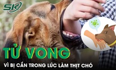 Chủ quán thịt chó phát bệnh dại và tử vong vì bị cắn trong lúc làm thịt chó