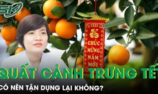 Quất cảnh có ăn được không?