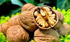 6 loại thực phẩm cải thiện suy giảm trí nhớ