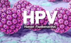 HPV có gây ung thư dương vật không?