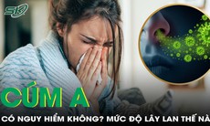 Cúm A có dễ lây lan không? Mức độ nguy hiểm như thế nào?