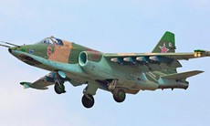 Ukraine tuyên bố vừa bắn rơi máy bay cường kích Su-25 của Nga