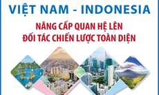 Việt Nam và Indonesia nâng cấp quan hệ lên Đối tác Chiến lược Toàn diện