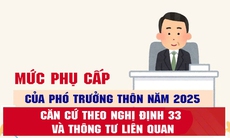 Số lượng, mức phụ cấp của Phó trưởng thôn năm 2025