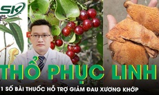 Thổ phục linh vị thuốc quý trong Đông y và một số bài thuốc hỗ trợ giảm đau xương khớp 