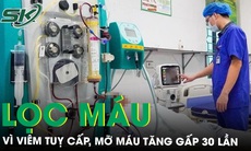 Viêm tụy cấp, mỡ máu tăng 30 lần vì đau bụng nhưng chủ quan không đi khám