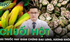 Một số bài thuốc từ chuối hột giảm chứng đau lưng, xương khớp
