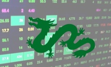 Xử phạt Dragon Capital Việt Nam vi phạm trên thị trường chứng khoán