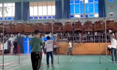 Sở không cấp phép, huyện vẫn tổ chức hội thi chim chào mào