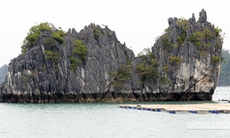 Khám phá 5 hành trình du lịch hấp dẫn trên vịnh Bái Tử Long