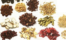 4 bài thuốc trị mất ngủ hiệu quả
