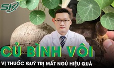 Củ bình vôi: Vị thuốc quý trị mất ngủ hiệu quả từ thiên nhiên