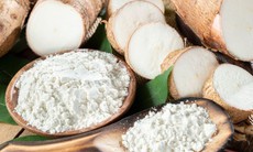 Sắn dây có tốt cho người bệnh tim mạch?