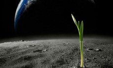 Phát hiện khả năng có sự sống ở hành tinh khác, chuyên gia nói gì?