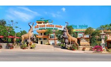 Có một không gian sinh thái cách TP.HCM 40km, thu hút nhiều du khách