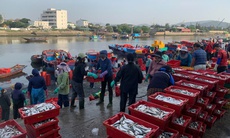 Chợ cá Nghi Thủy 'níu' chân du khách
