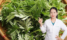 Hành trình phát triển chuyên môn, giúp đỡ người bệnh của nữ dược sĩ trẻ