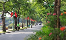 Miền Bắc có sương mù, hửng nắng về trưa chiều